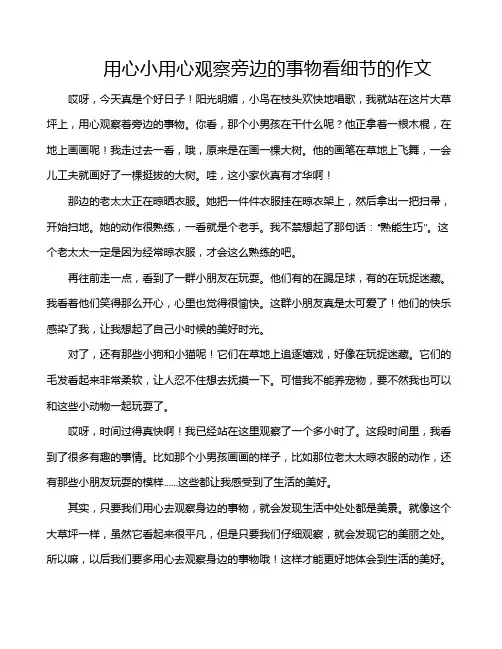 用心小用心观察旁边的事物看细节的作文