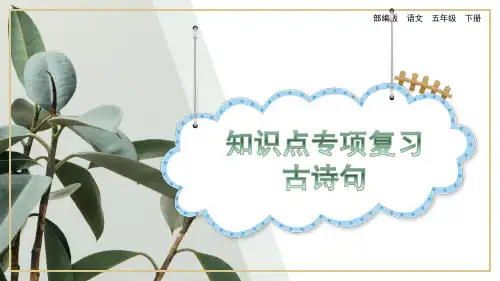 部编版小学五年级语文下册-知识点专项复习
