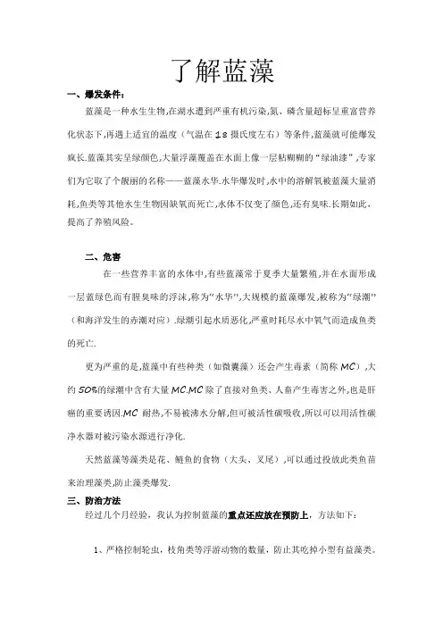 水产养殖之了解蓝藻