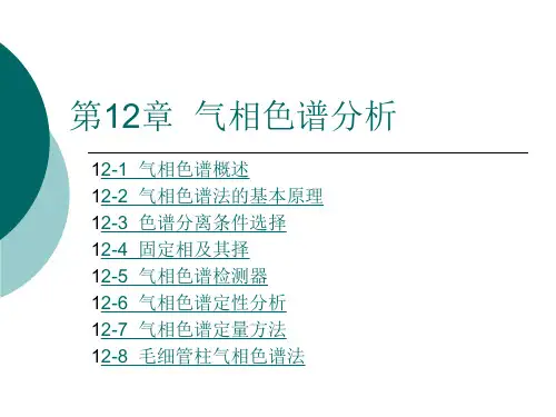 第12章气相色谱分析