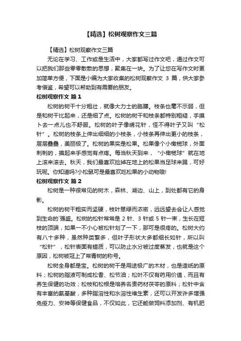 【精选】松树观察作文三篇