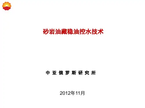 砂岩油藏稳油控水技术-1201-NEW