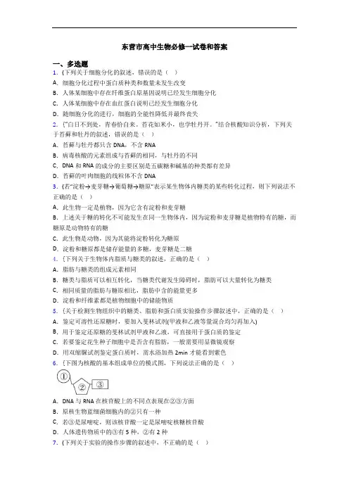 东营市高中生物必修一试卷和答案