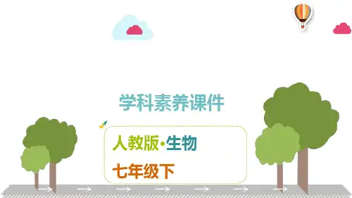 人教版生物七年级下册第四单元第二章 人体的营养 课件(共38张PPT)