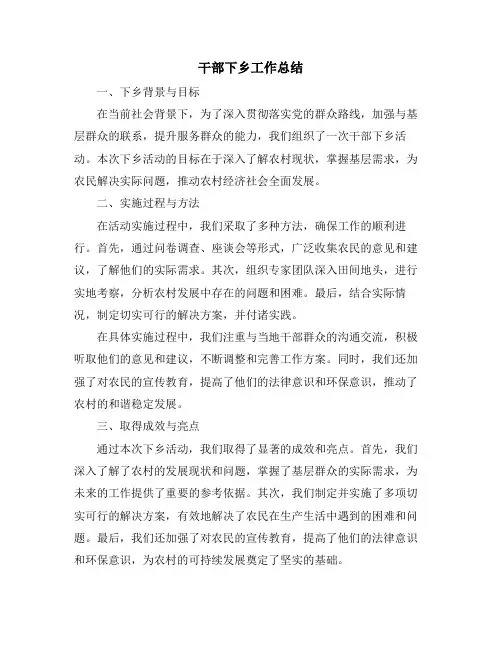 干部下乡工作总结