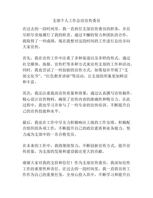 支部个人工作总结宣传委员