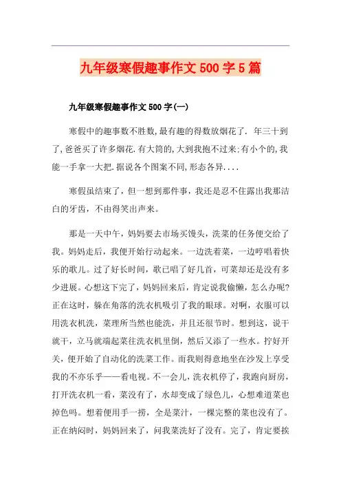 九年级寒假趣事作文500字5篇