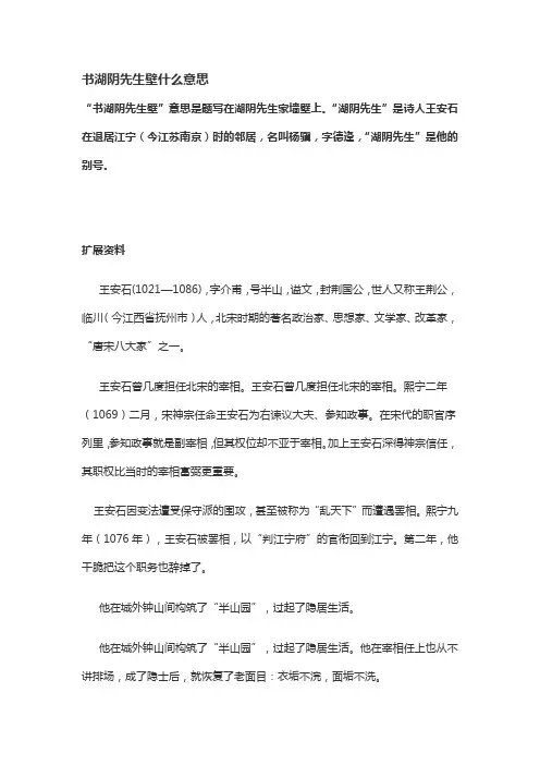 书湖阴先生壁什么意思