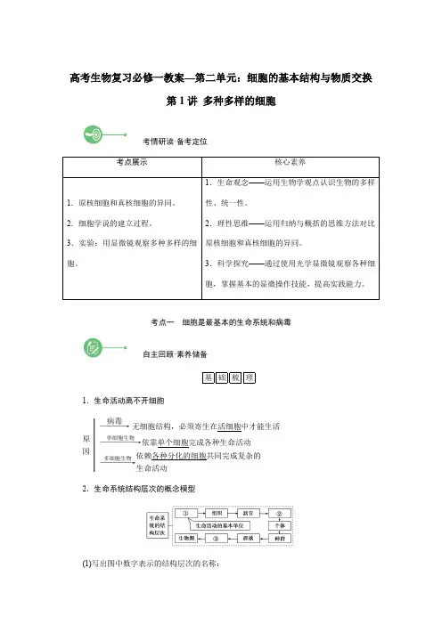 高考生物复习必修一教案—第二单元：细胞的基本结构与物质交换 第1讲 多种多样的细胞