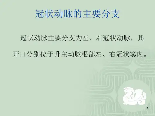 冠状动脉分段课件