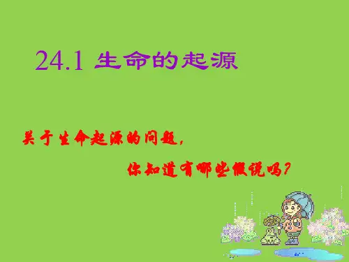 苏科版八年级生物第二十三章第一节生命的起源课件(20张PPT)
