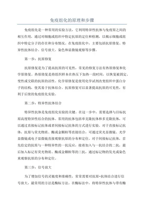 免疫组化的原理和步骤