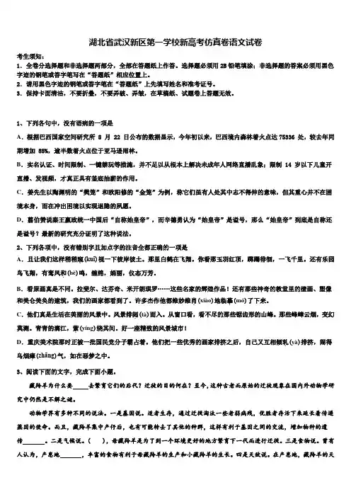 湖北省武汉新区第一学校新高考仿真卷语文试卷及答案解析