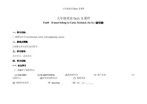 九年级英语Unit 8课件