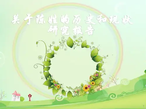 陈姓的历史和现状研究报告ppt课件