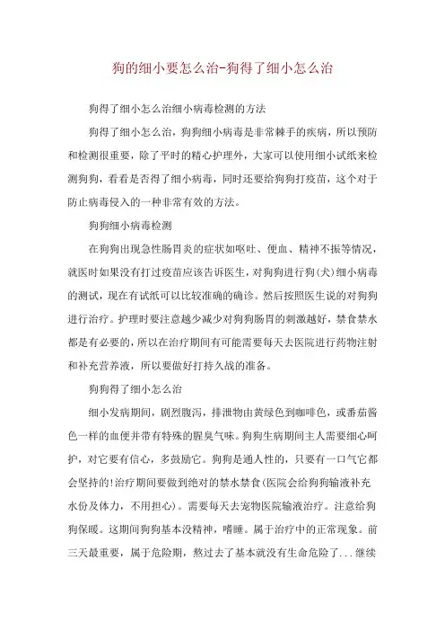 狗的细小要怎么治-狗得了细小怎么治