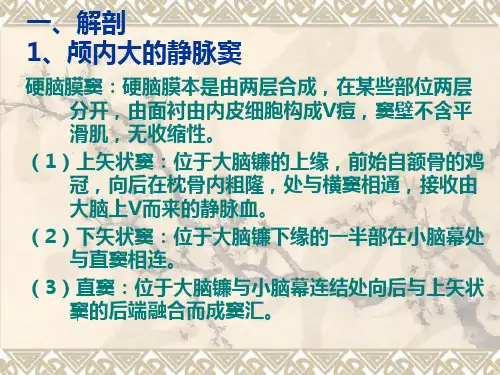 静脉窦解剖和血栓形成