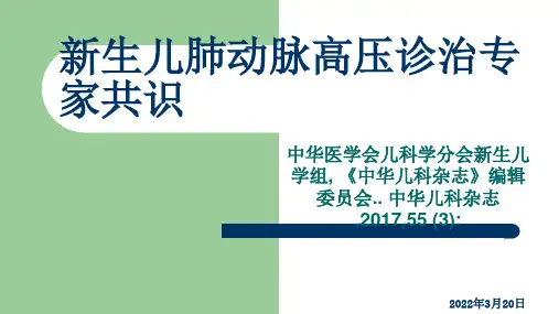 新生儿肺动脉高压诊治专家共识