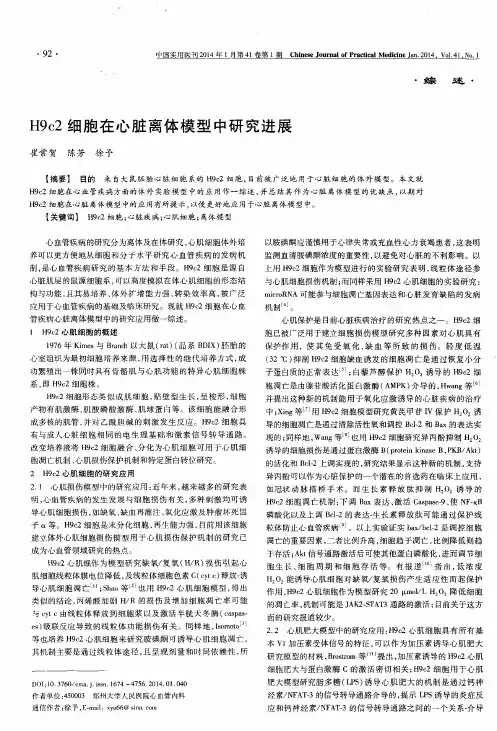 H9c2细胞在心脏离体模型中研究进展