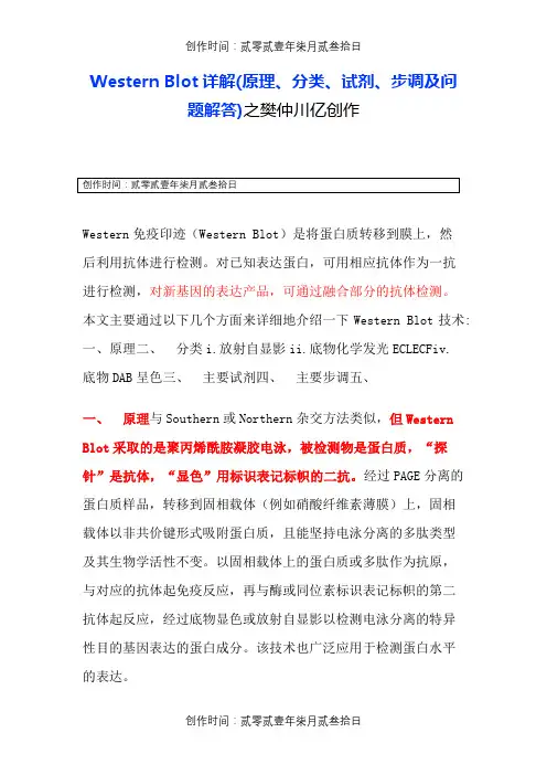 最详细的Western_Blot过程步骤详解