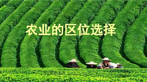 (完整)农业的区位选择精品PPT资料精品PPT资料