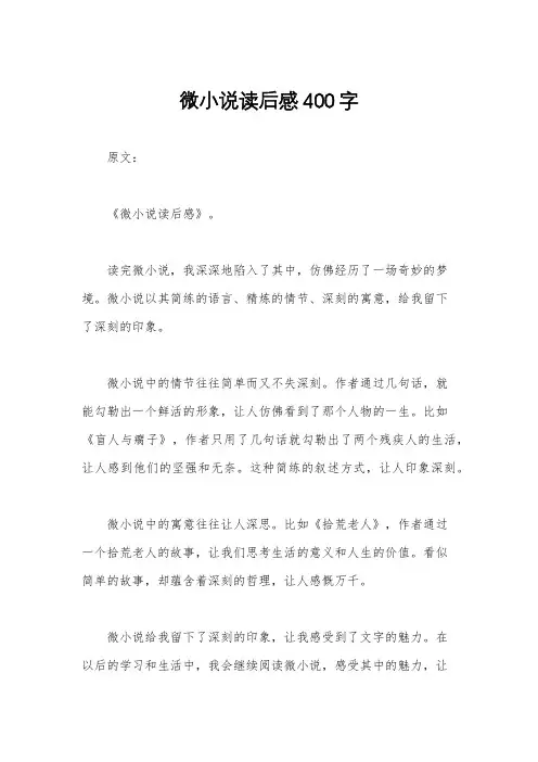微小说读后感400字