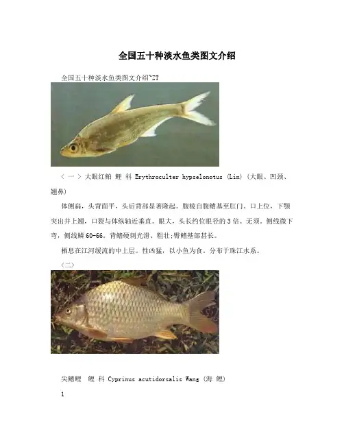全国五十种淡水鱼类图文介绍