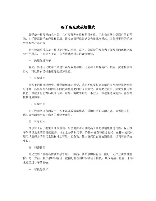 谷子高光效栽培模式