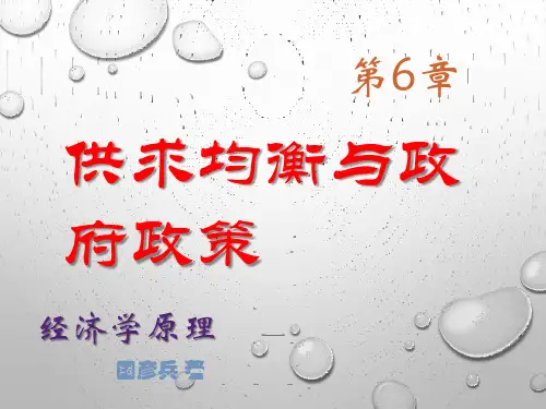 经济学原理课件第6章