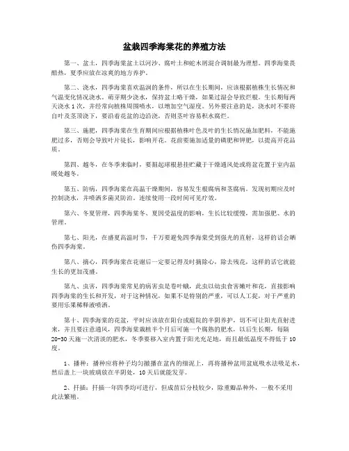 盆栽四季海棠花的养殖方法