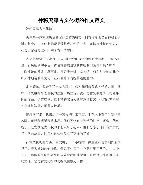 神秘天津古文化街的作文范文
