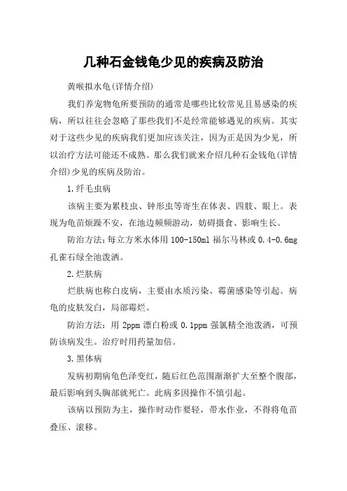 几种石金钱龟少见的疾病及防治