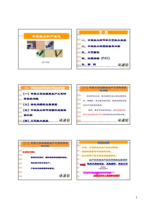 中试放大和产业化