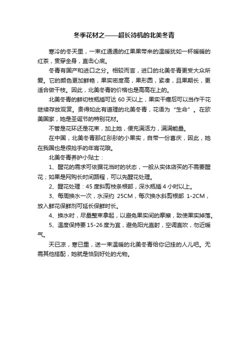 冬季花材之——超长待机的北美冬青