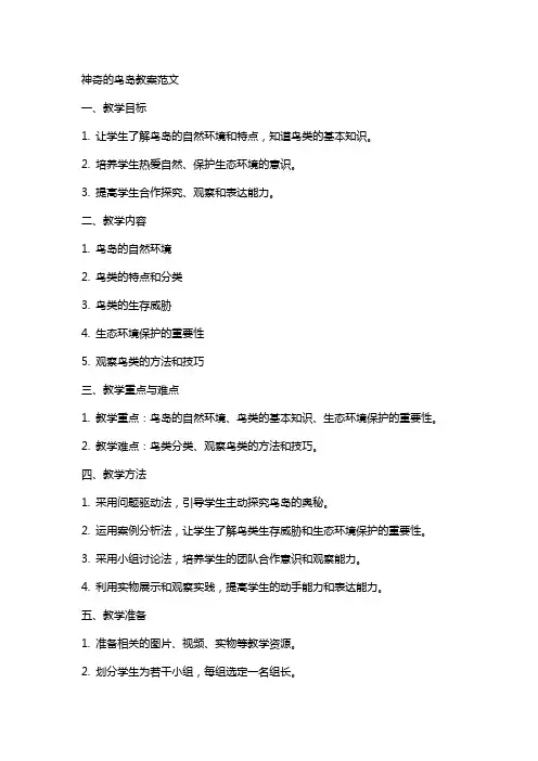 神奇的鸟岛教案范文