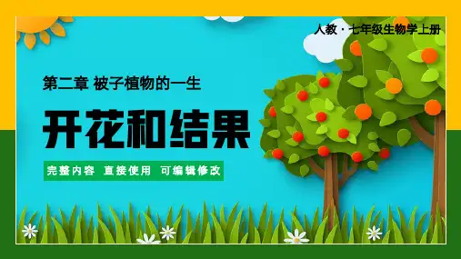七年级上册被子植物的一生开花和结果PPT课件