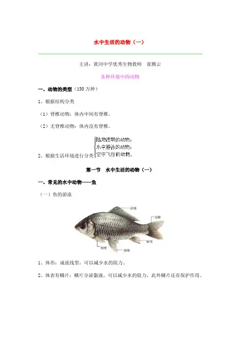 第一节 水中生活的动物(一)