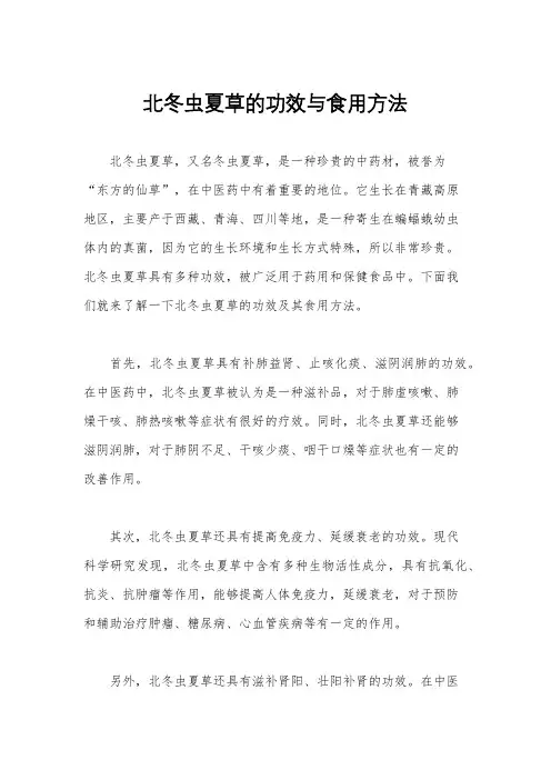 北冬虫夏草的功效与食用方法