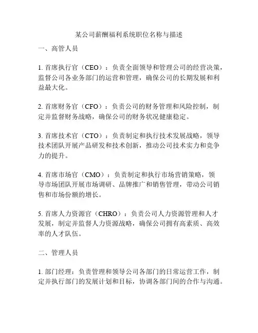 某公司薪酬福利系统职位名称与描述