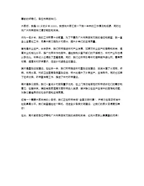 乡长的述职报告范文