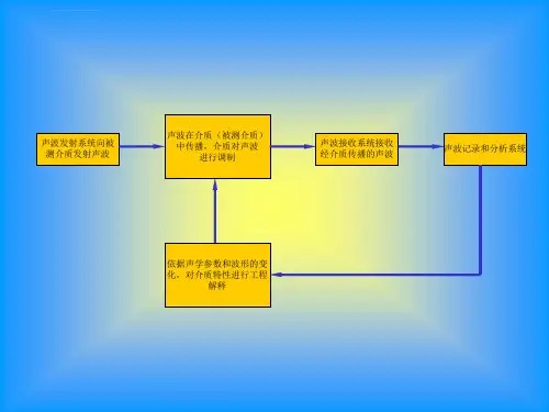 声波透射法检测技术ppt课件