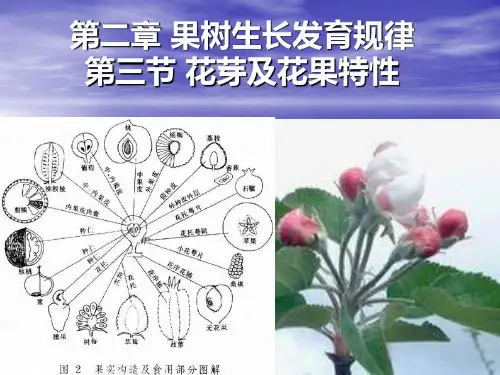普通园艺学第二章花果特性