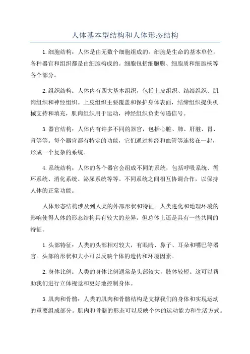人体基本型结构和人体形态结构