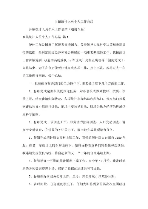 乡镇统计人员个人工作总结