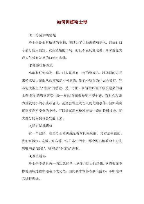 如何训练哈士奇