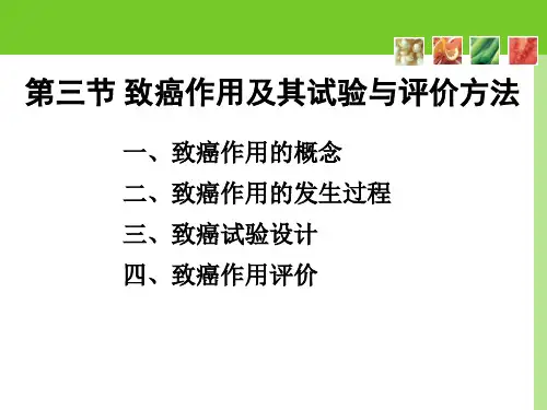 致癌作用及其试验与评价方法