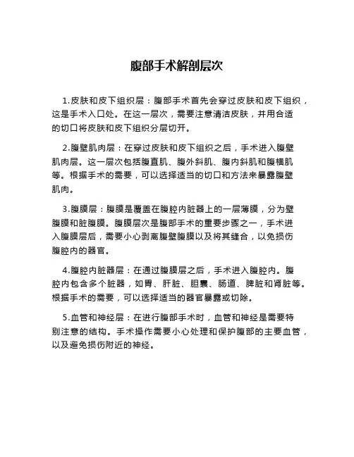 腹部手术解剖层次