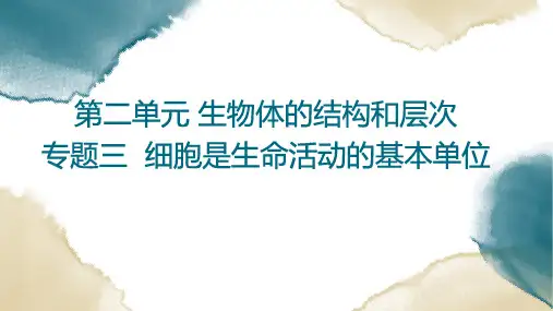 初中生物总复习 专题3细胞是生命活动的基本单位