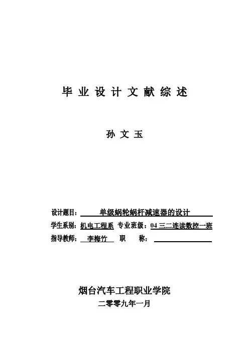 文献综述-孙文玉