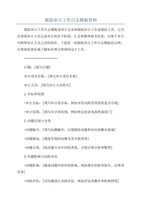 跟踪审计工作日志模板资料